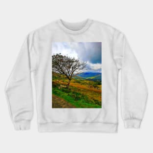 The Ladies View, Ring of Kerry Crewneck Sweatshirt